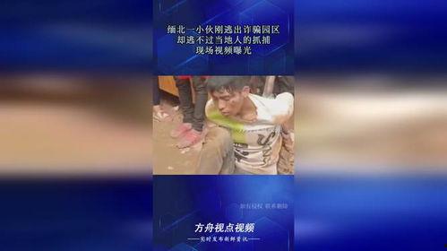 当地人的爆料视频在哪看,当地人爆料视频观看指南，一探究竟！