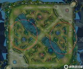 近期王者大事爆料新闻,揭秘近期重大爆料背后的秘密与动向  第2张